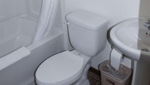 Golden Wheat Budget Host Inn image 19